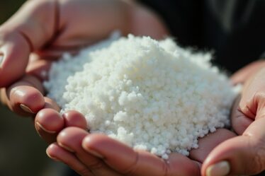 Poids du blanc d'œuf : guide complet selon la taille de l'œuf