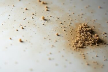 Larves de mites au plafond : comprendre l'origine, méthodes de nettoyage et astuces pour les éviter durablement
