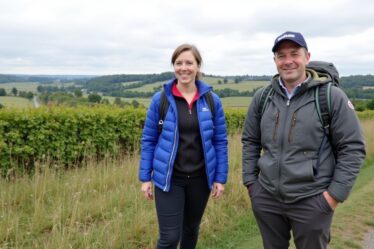 Exploration de la Roche Saint Martin à Saint-Dié-des-Vosges : Randonnée et Vues Imprenables