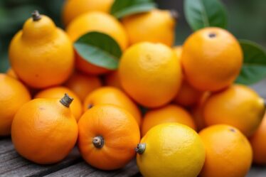 Fruits en Y : exploration du yuzu et autres trésors fruités méconnus
