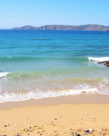 Découverte de la Plage de Canella en Corse : un écrin de sable fin baigné par des eaux cristallines